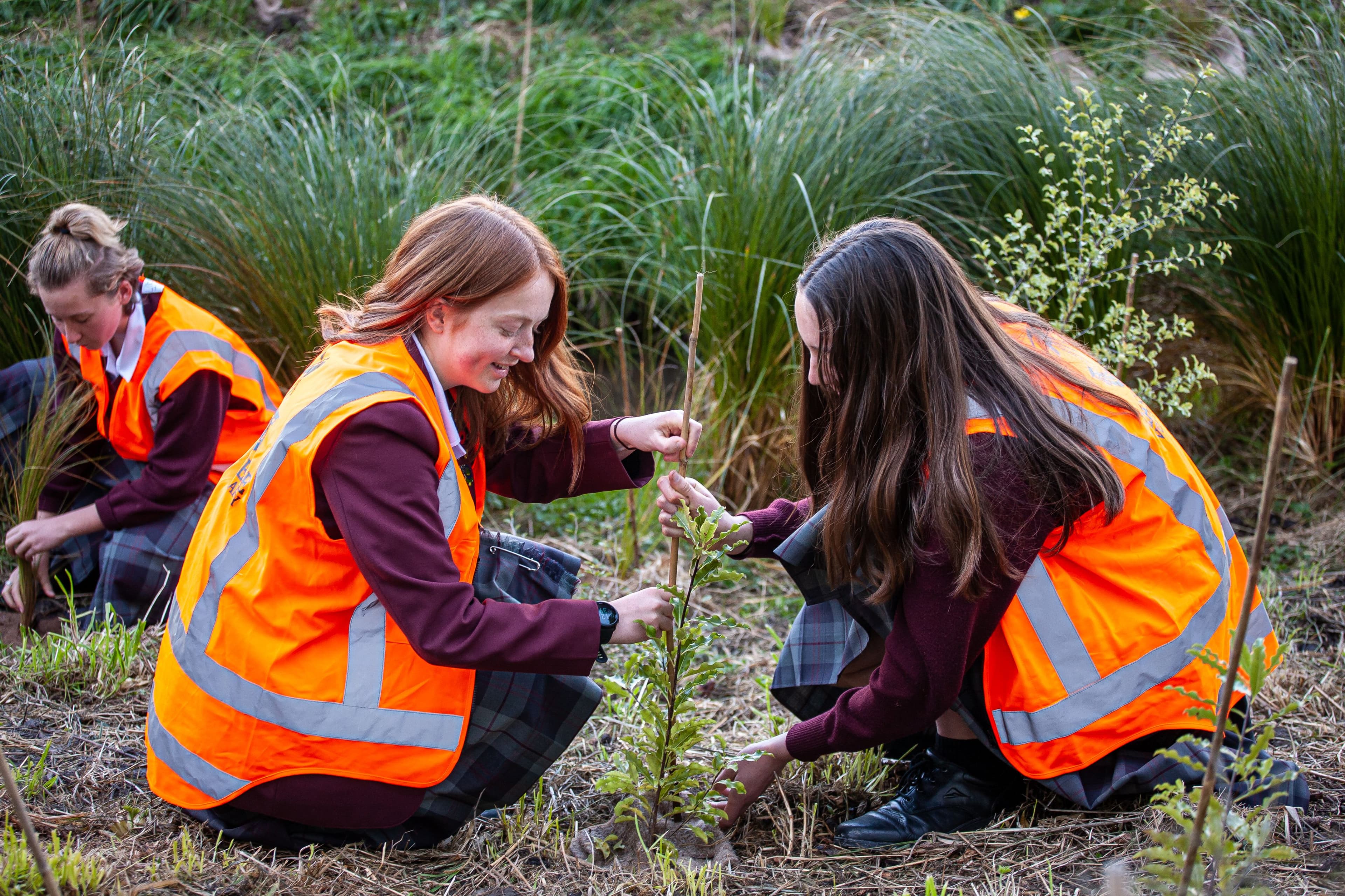 Youth action drives community wellbeing