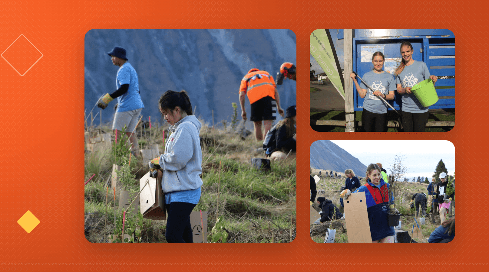 Volunteer-A-Thon Is Here! Help us reach 1000 Hours